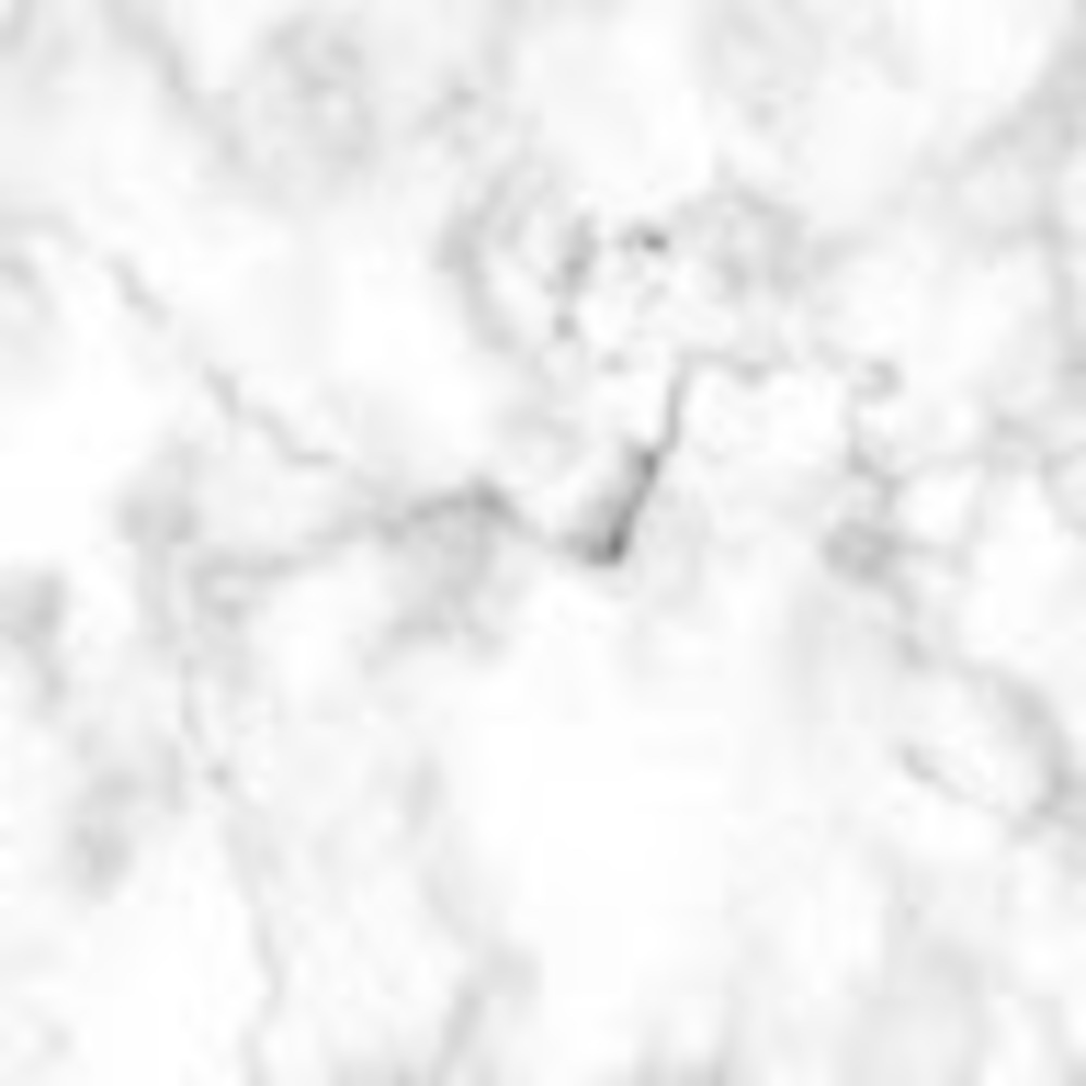 Meet your Posher, Abbey